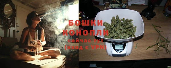 гидра Магас