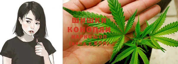 дживик Майский