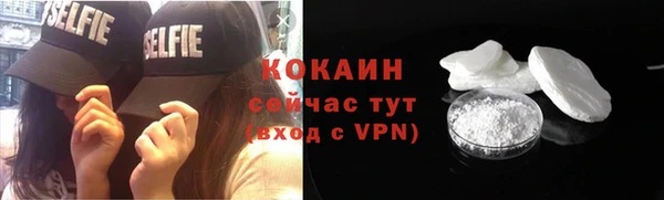 дживик Майский