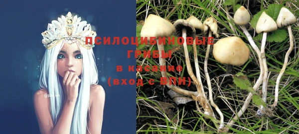 дживик Майский