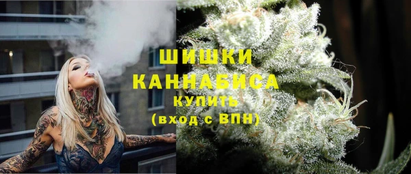гидра Магас