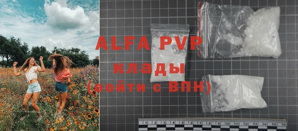 гидра Магас
