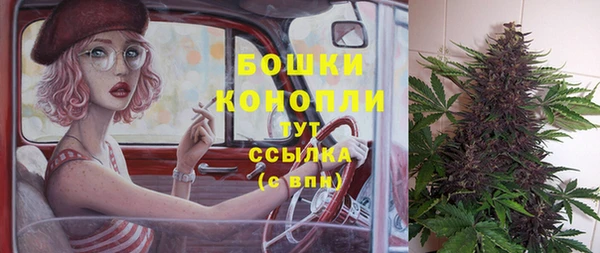 гидра Магас