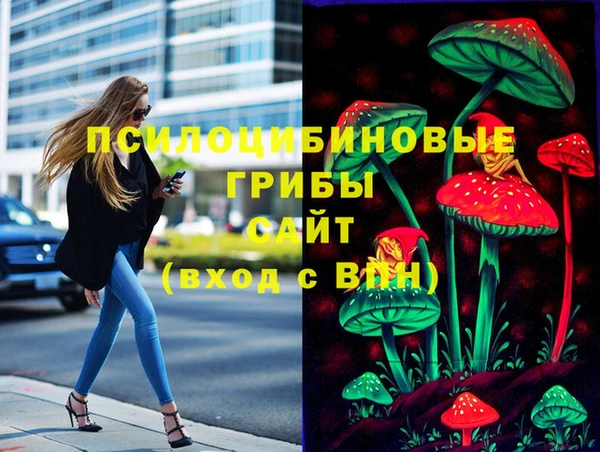 гидра Магас