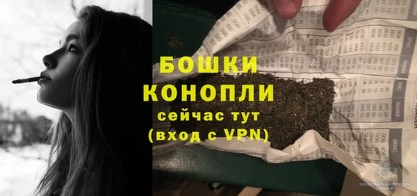 гидра Магас
