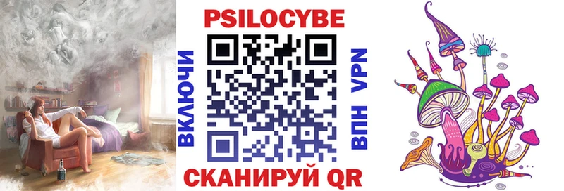 Псилоцибиновые грибы мицелий Чкаловск