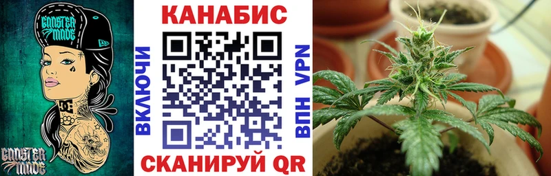 Канабис сатива  Чкаловск 